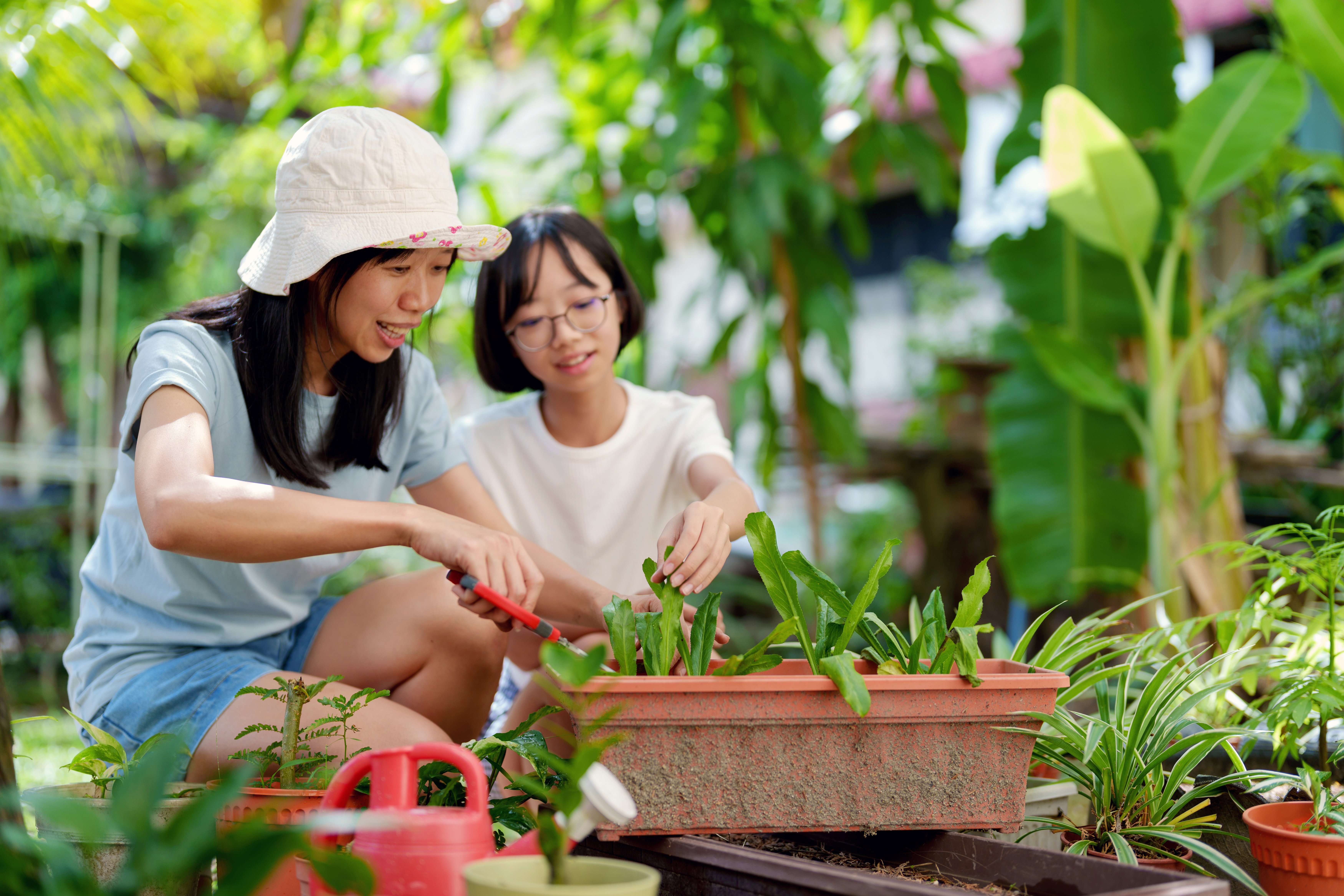 iStock